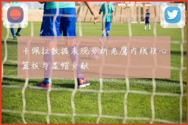 卡佩拉数据表现分析老鹰内线核心篮板与盖帽贡献