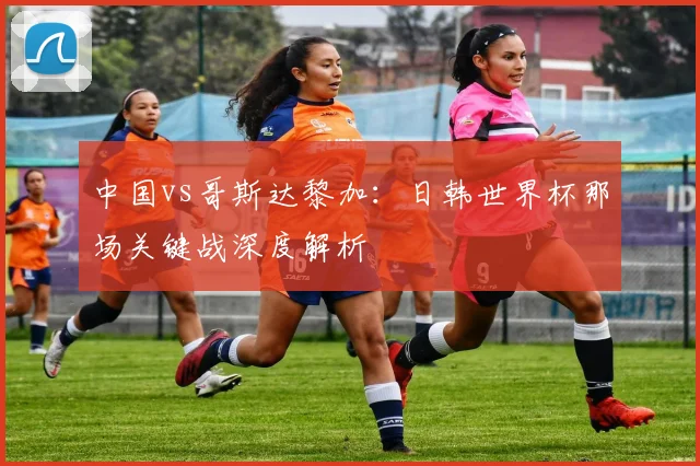 中国vs哥斯达黎加:日韩世界杯那场关键战深度解析