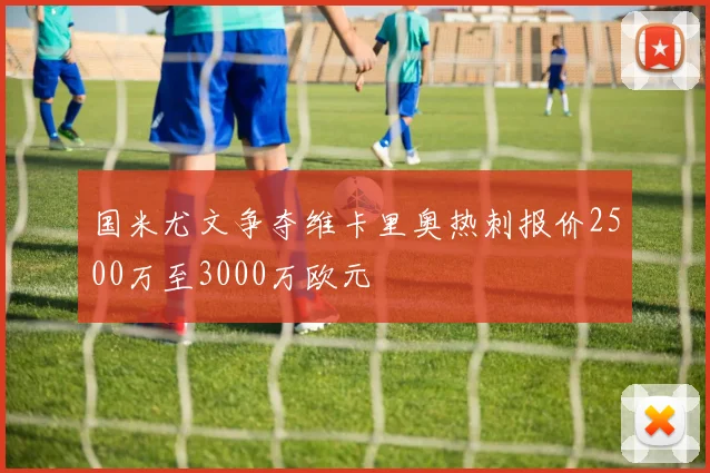 国米尤文争夺维卡里奥热刺报价2500万至3000万欧元