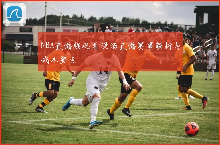 NBA直播线观看现场直播赛事解析与战术要点