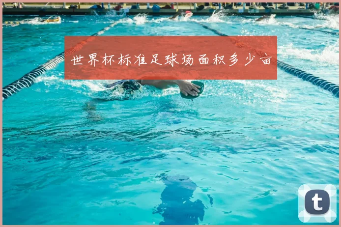 世界杯标准足球场面积多少亩