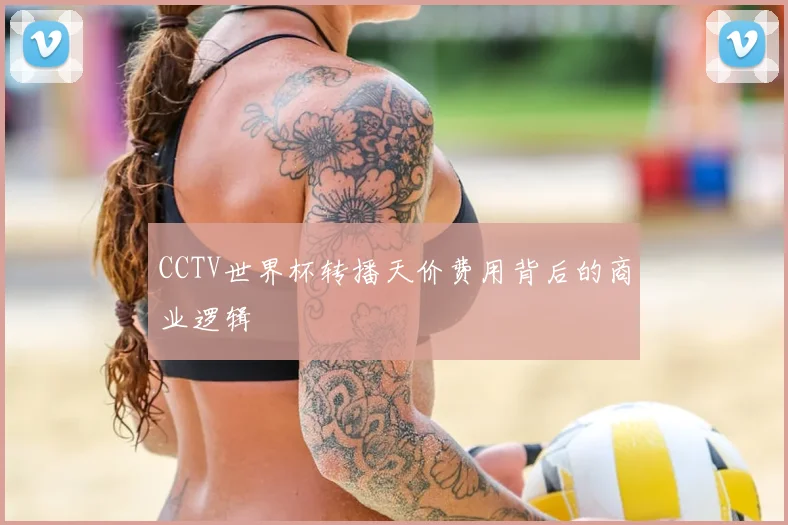 CCTV世界杯转播天价费用背后的商业逻辑