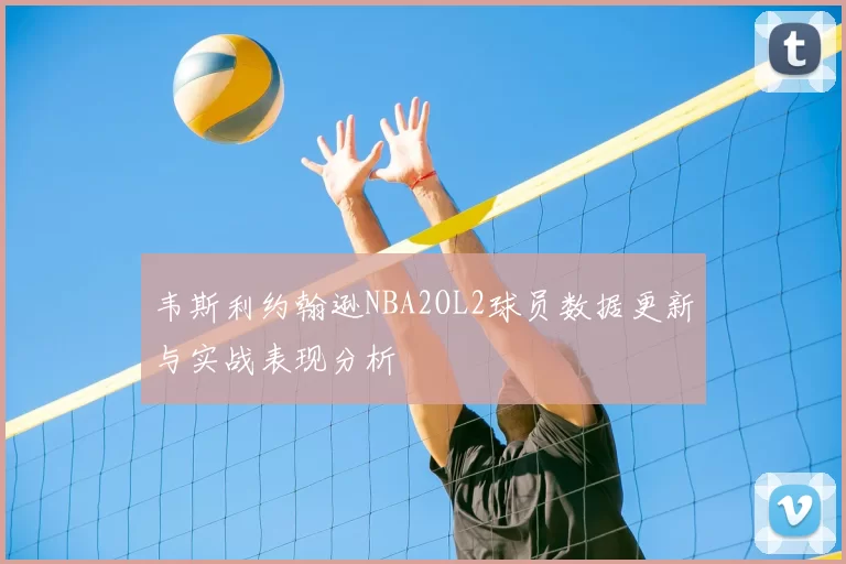 韦斯利约翰逊NBA2OL2球员数据更新与实战表现分析