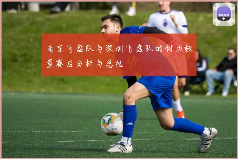 南京飞盘队与深圳飞盘队的耐力较量赛后分析与总结