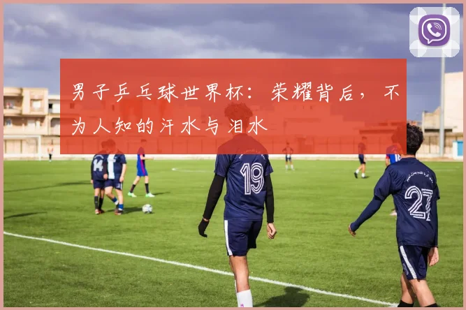 男子乒乓球世界杯:荣耀背后,不为人知的汗水与泪水