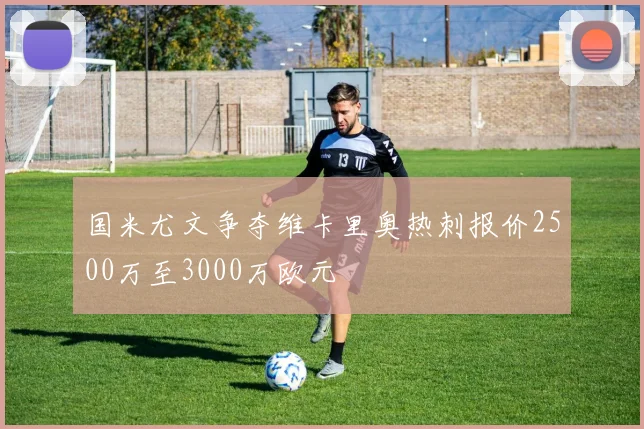 国米尤文争夺维卡里奥热刺报价2500万至3000万欧元
