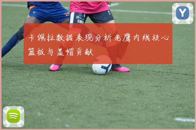 卡佩拉数据表现分析老鹰内线核心篮板与盖帽贡献