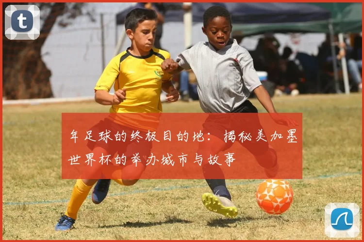 年足球的终极目的地：揭秘美加墨世界杯的举办城市与故事