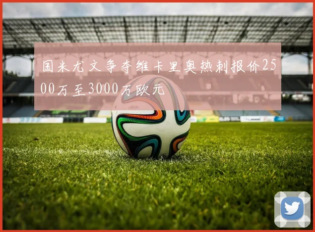 国米尤文争夺维卡里奥热刺报价2500万至3000万欧元
