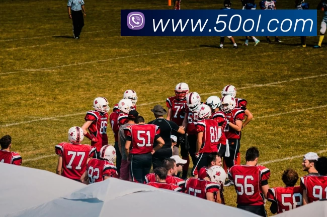 kaiyun平台生态图